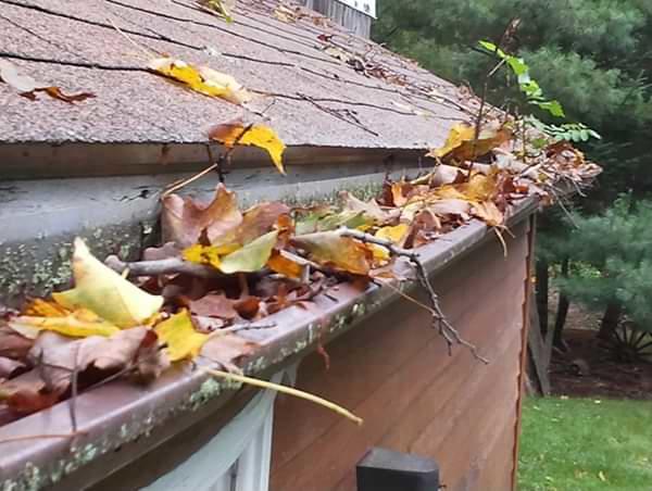 Central New Jersey clogged gutters