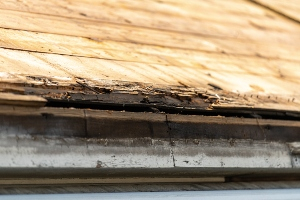 Roof Replacement Services in Central New Jersey